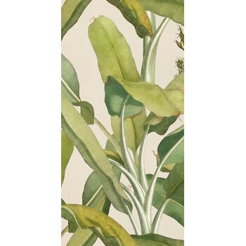 41ZERO42 Paper41 Pro Musa 50x100 a 1 m²