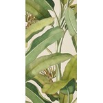 41ZERO42 Paper41 Pro Musa 50x100, afname per doos van 1 m²