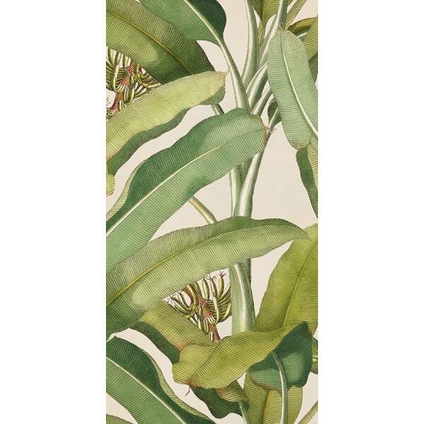 41ZERO42 Paper41 Pro Musa 50x100, afname per doos van 1 m²