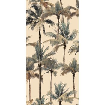 41ZERO42 Paper41 Pro Luz 50x100 a 1 m²