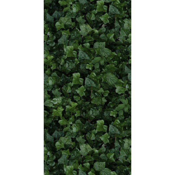 41ZERO42 Paper41 Pro Jane E 50x100, afname per doos van 1 m²