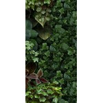 41ZERO42 Paper41 Pro Jane D 50x100, afname per doos van 1 m²