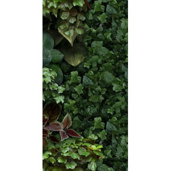 41ZERO42 Paper41 Pro Jane D 50x100 a 1 m²