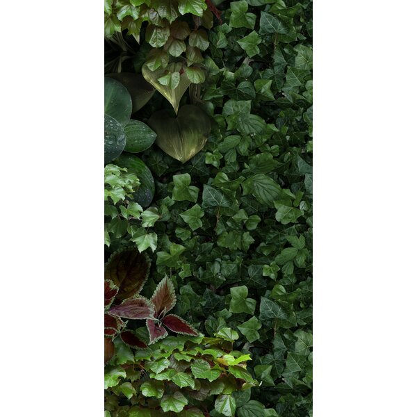 41ZERO42 Paper41 Pro Jane D 50x100, afname per doos van 1 m²