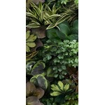 41ZERO42 Paper41 Pro Jane C 50x100, afname per doos van 1 m²