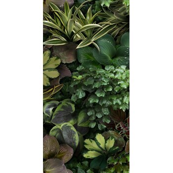 41ZERO42 Paper41 Pro Jane C 50x100 a 1 m²