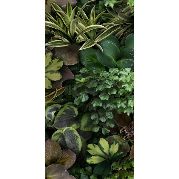 41ZERO42 Paper41 Pro Jane C 50x100, afname per doos van 1 m²