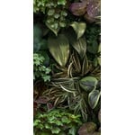 41ZERO42 Paper41 Pro Jane B 50x100, afname per doos van 1 m²