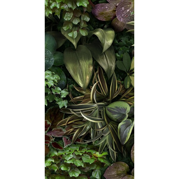 41ZERO42 Paper41 Pro Jane B 50x100, afname per doos van 1 m²