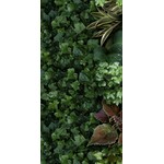 41ZERO42 Paper41 Pro Jane A, afname per doos van 50x100, afname per doos van 1 m²