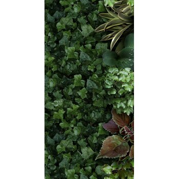 41ZERO42 Paper41 Pro Jane A 50x100 a 1 m²