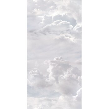 41ZERO42 Paper41 Pro Azzurra 50x100 a 1 m²