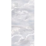 41ZERO42 Paper41 Pro Azzurra 50x100, afname per doos van 1 m²