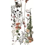 41ZERO42 Paper41 Lux Franz 60x120, afname per doos van 2,16 m²