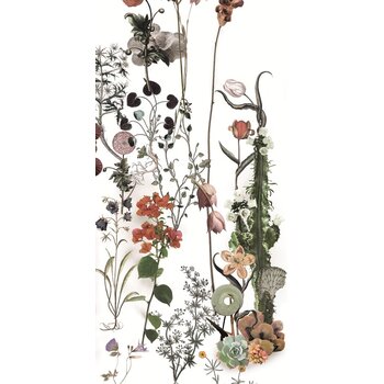 41ZERO42 Paper41 Lux Franz 60x120 a 2,16 m²