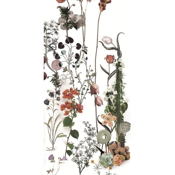 41ZERO42 Paper41 Lux Franz 60x120, afname per doos van 2,16 m²