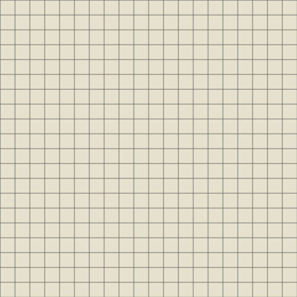 Winckelmans Squares 5x5 cm, vlak op net, blanc (BAU), 5 mm dik, afname per doos van 1 m²