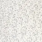 Revoir Paris Re-Bel Gris 100x100, afname per doos van 2 m²