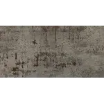 Tau Metal Steel 30x60 Brushed, afname per doos van 1,08 m²