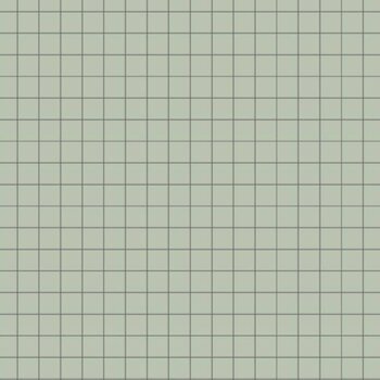 Winckelmans Squares 5x5 cm, vlak op net, Pistache (PIS), 5 mm dik a 1,01 m²