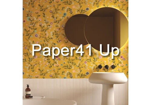 Paper41 Up