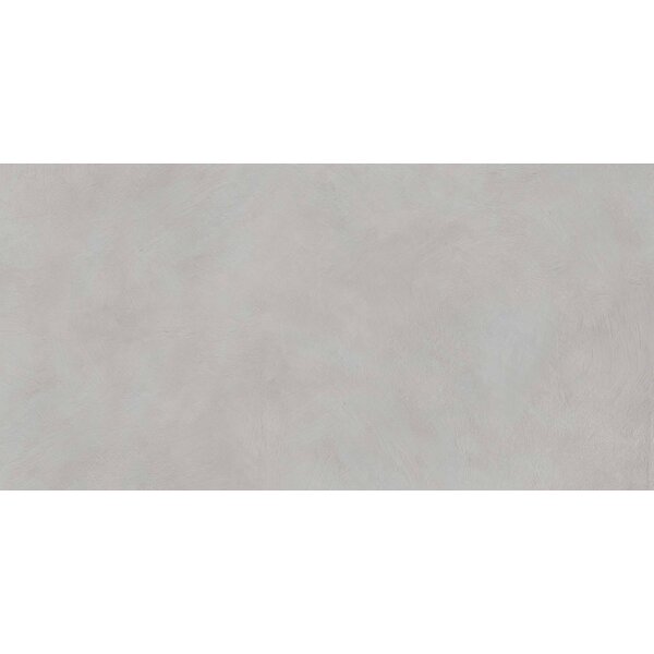 Gardenia/Ariana I Pigmenti Ash 60x120, afname per doos van 1,44 m²
