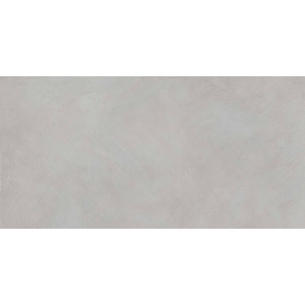 Gardenia/Ariana I Pigmenti Ash 60x120, afname per doos van 1,44 m²