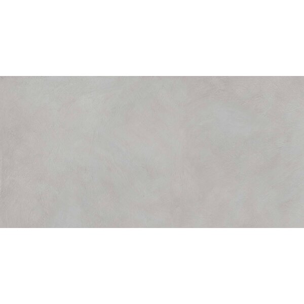 Gardenia/Ariana I Pigmenti Ash R11 60x120, afname per doos van 1,44 m²