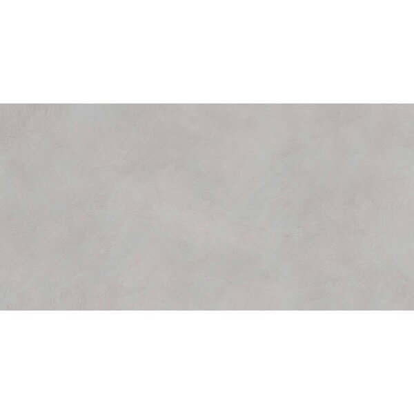 Gardenia/Ariana I Pigmenti Ash R11 60x120, afname per doos van 1,44 m²