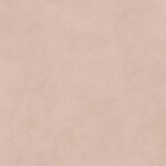 Gardenia/Ariana I Pigmenti Clay 120x120, afname per doos van 2,88 m²