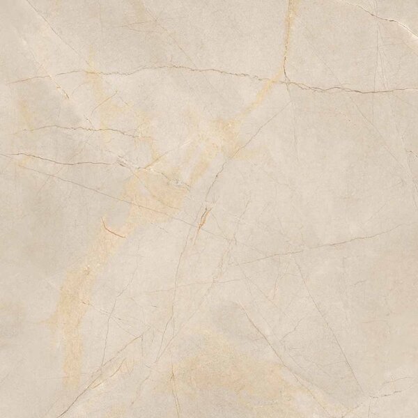 Gardenia/Ariana La Geoteca Marfil 120x120, afname per doos van 2,88 m²