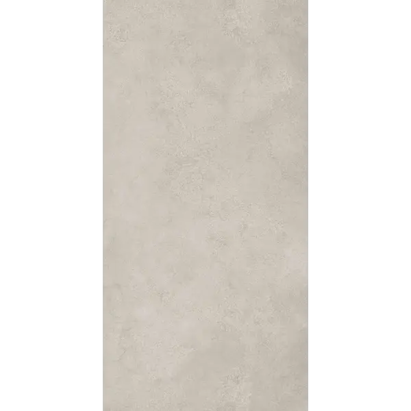 Gardenia/Ariana Camouflage Beton Silver 60x120, afname per doos van 1,44 m²