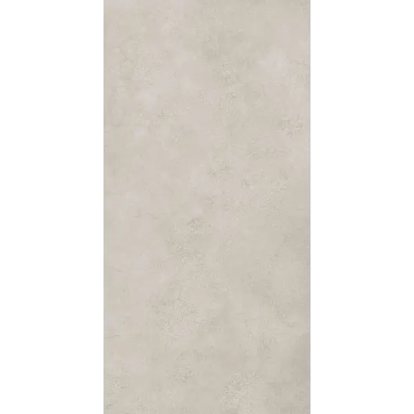 Gardenia/Ariana Camouflage Beton Silver 60x120, afname per doos van 1,44 m²