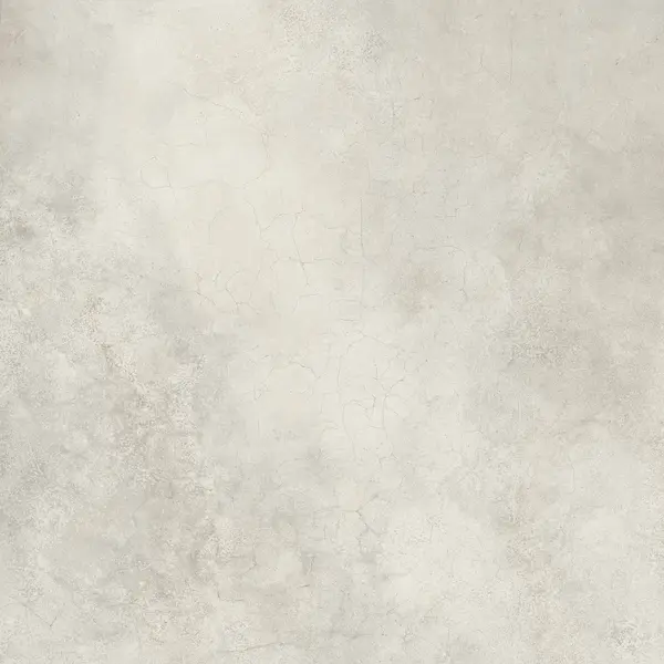 Gardenia/Ariana Camouflage Beton White 120x120, afname per doos van 2,88 m²