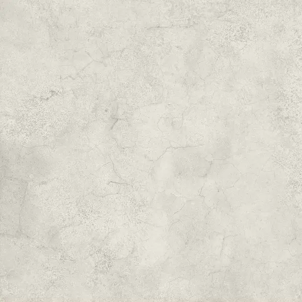 Gardenia/Ariana Camouflage Beton White 120x120, afname per doos van 2,88 m²