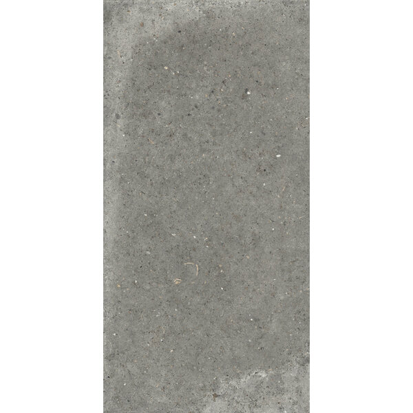 Gardenia/Ariana Anima Fango 60x120, afname per doos van 1,44 m²