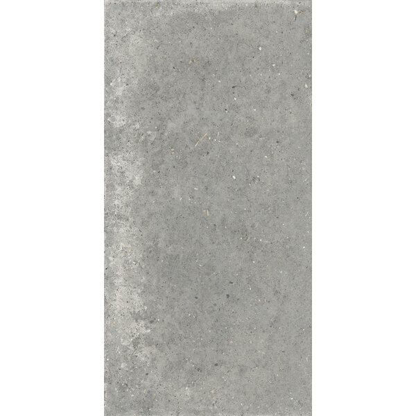 Gardenia/Ariana Anima Grigio 60x120, afname per doos van 1,44 m²