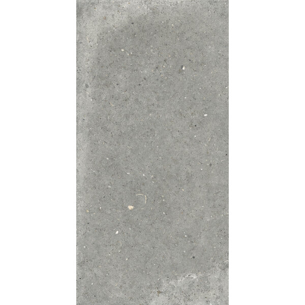 Gardenia/Ariana Anima Grigio 60x120, afname per doos van 1,44 m²