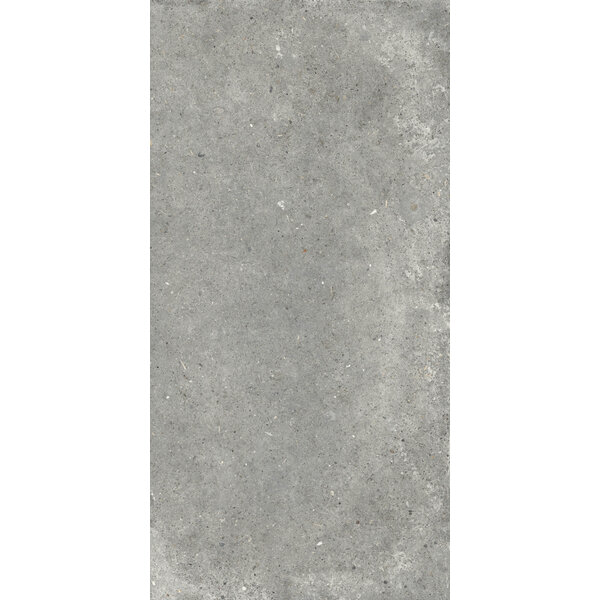 Gardenia/Ariana Anima Grigio 60x120, afname per doos van 1,44 m²