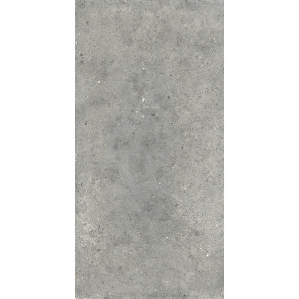 Gardenia/Ariana Anima Grigio 60x120, afname per doos van 1,44 m²