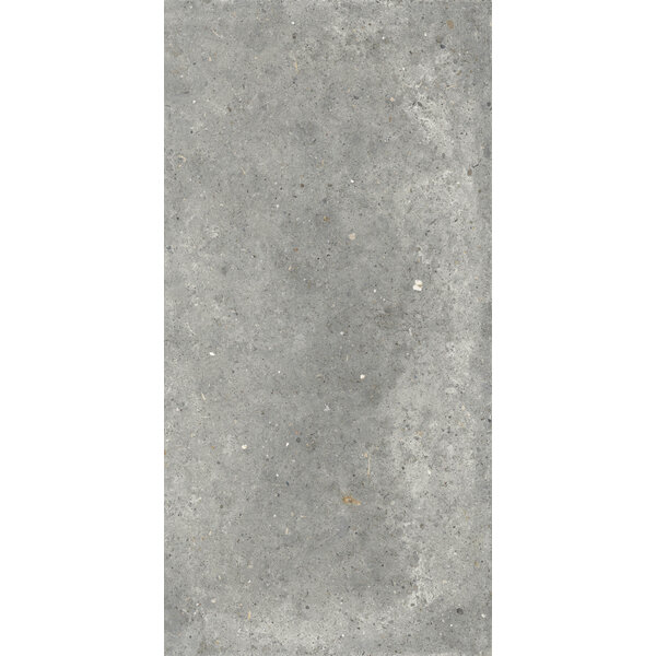 Gardenia/Ariana Anima Grigio 60x120, afname per doos van 1,44 m²