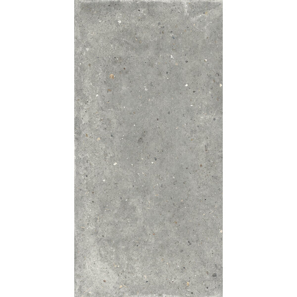 Gardenia/Ariana Anima Grigio 60x120, afname per doos van 1,44 m²