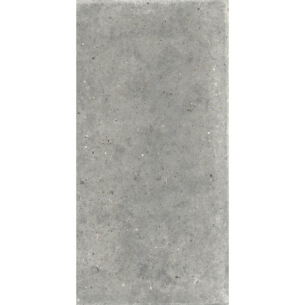 Gardenia/Ariana Anima Grigio 60x120, afname per doos van 1,44 m²