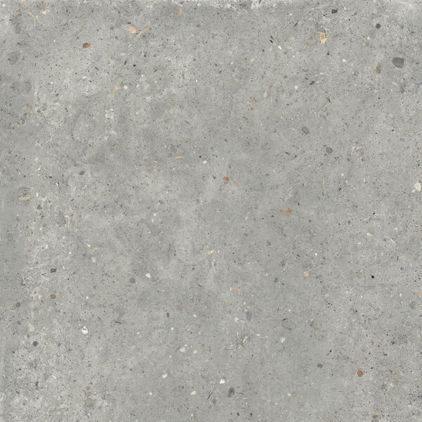 Gardenia/Ariana Anima Grigio 60x60 R11, afname per doos van 1,08 m²