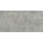 Gardenia/Ariana Anima Grigio 30x60, afname per doos van 1,08 m²