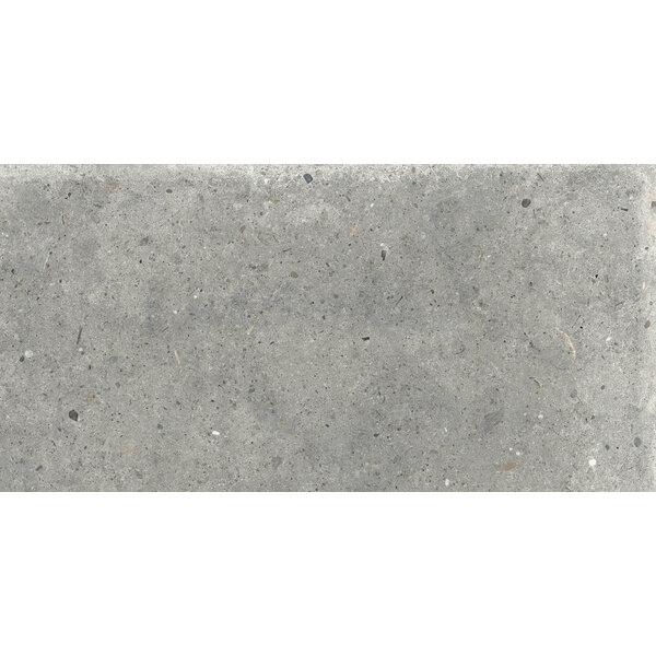 Gardenia/Ariana Anima Grigio 30x60, afname per doos van 1,08 m²