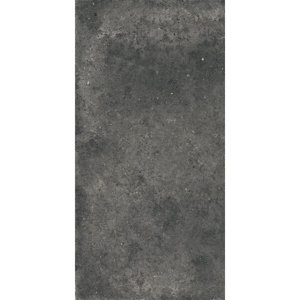 Gardenia/Ariana Anima Fumo 60x120, afname per doos van 1,44 m²