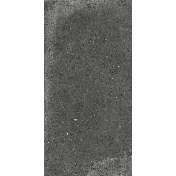 Gardenia/Ariana Anima Fumo 60x120, afname per doos van 1,44 m²