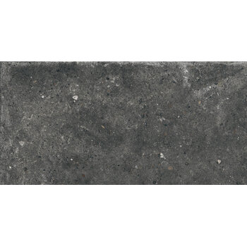 Gardenia/Ariana Anima Fumo 30x60 a 1,08 m²