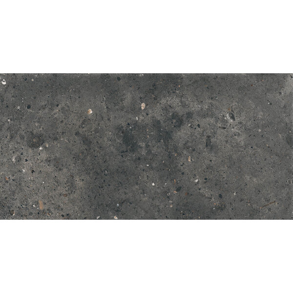 Gardenia/Ariana Anima Fumo 30x60, afname per doos van 1,08 m²